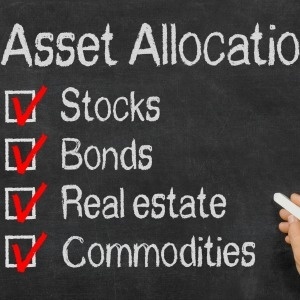 Alternative Investment Asset Allocation