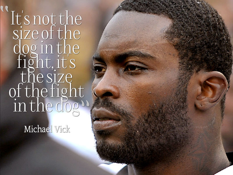 famous quotes - michael vick fake