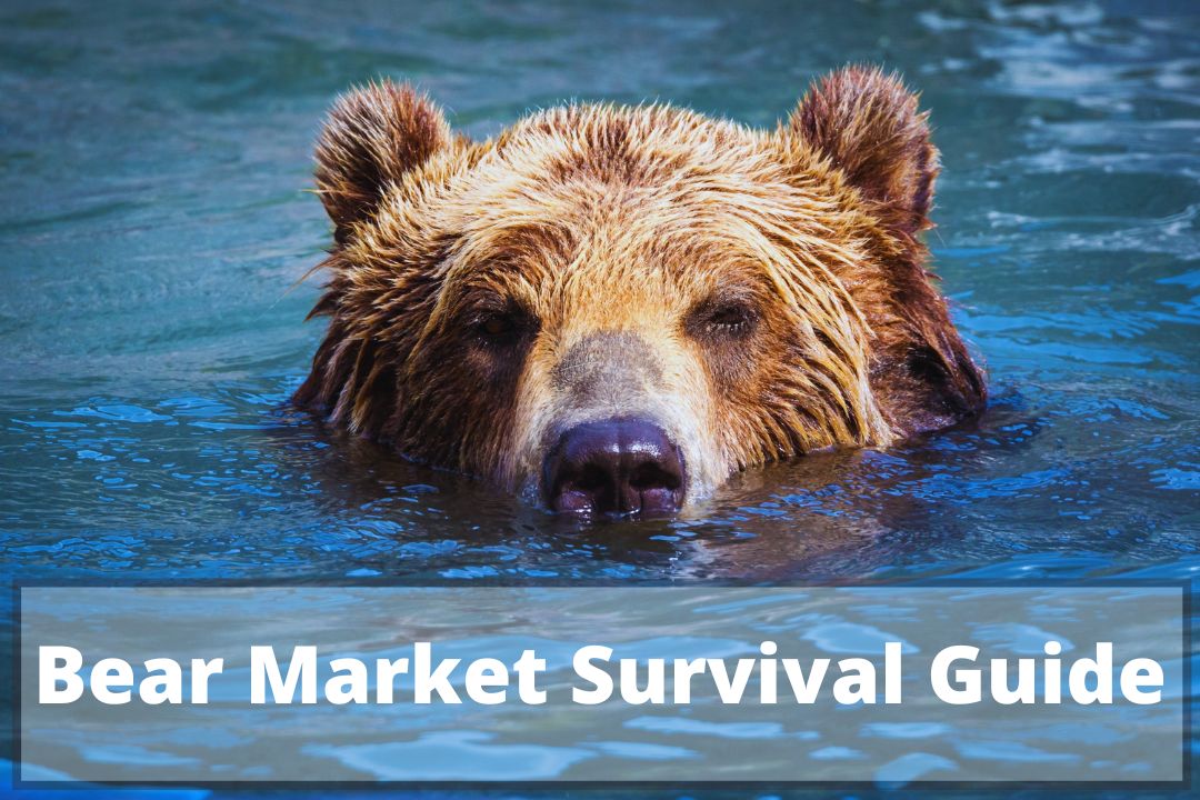 Bear Market Rules Survival Guide
